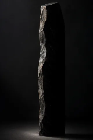 折脊近光