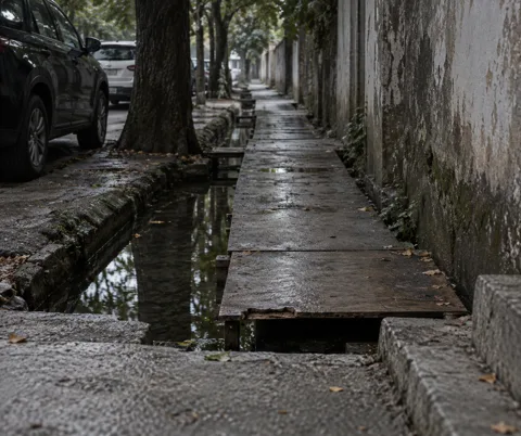 把雨渠借给行人的路